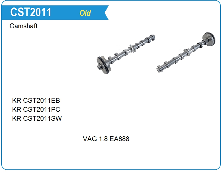 Вал распределительный VAG 06H109021F (06H109021F)